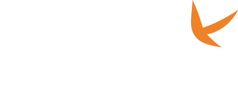 Nekki_Logo-white
