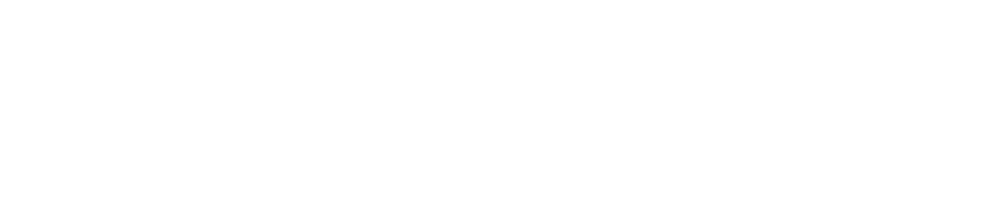 Voodoo_Logo-white